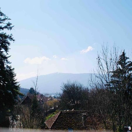 Maison 3 Chambres Au Lac D'Annecy, 30Min La Clusaz Menthon-Saint-Bernard Luaran gambar