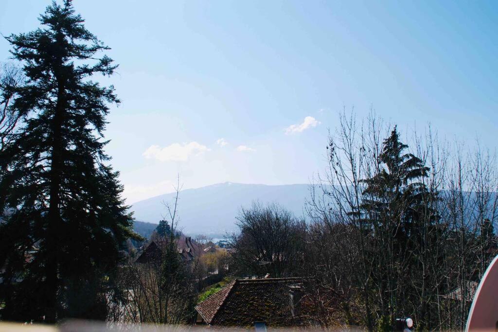 Maison 3 Chambres Au Lac D'Annecy, 30Min La Clusaz Menthon-Saint-Bernard Luaran gambar