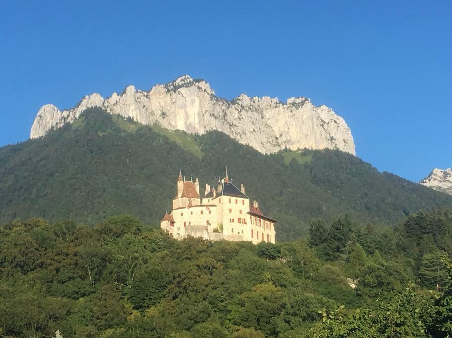 Maison 3 Chambres Au Lac D'Annecy, 30Min La Clusaz Menthon-Saint-Bernard Luaran gambar